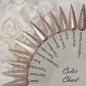 Preview: Farbtrens Nude Colors Naildesigns