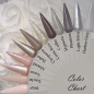 Preview: Hell Beige Nude Grau Silber Braun Farbpalette Farbkarte Nägel Design Nageltips