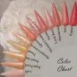 Preview: Farbpalette - Coral Colors Nageltips Nagel Tips Bunte Nageldesigns