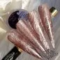 Preview: UV Gel - Platinium Cat Eye - Sweet Chocolate