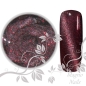 Preview: UV Gel - 006 - Cat Eye Gel Venedig Katzenauge Magnet Gel Nageldesign Nägel Nails Nagelstudio
