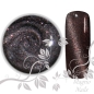 Preview: UV Gel - 009 - Cat Eye Gel Morocco Katzenauge Magnet Gel Nageldesign Nägel Nails Nagelstudio