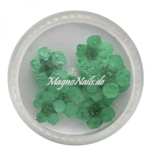 TB3 - Einlegemotive - Echte Trocken Blumen - mint Nails Nailart Nögel