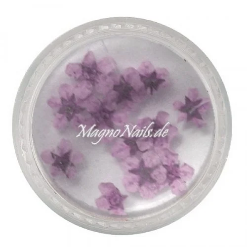 TB3 - Einlegemotive - Echte Trocken Blumen - hell lila Nails Nailart Nögel