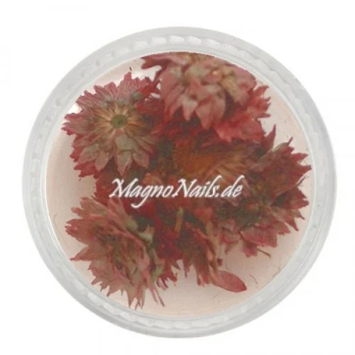 TB5 - Einlegemotive - Echte Trocken Blumen - aubergine Nails Nailart Nögel