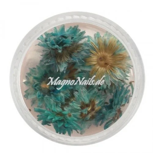 TB5 - Einlegemotive - Echte Trocken Blumen - mint Nails Nailart Nögel