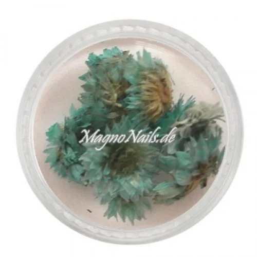 TB5 - Einlegemotive - Echte Trocken Blumen - hellblau Nails Nailart Nögel