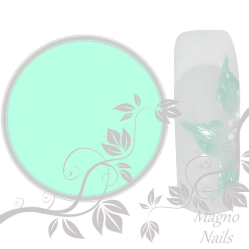UV Gel - 406 - 3D Gel Water Leaf Nägel Nagelgel Dosen UV-Gel Color Gel Farbgel