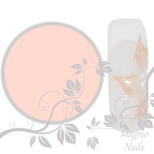 UV Gel - 407 - 3D Gel Light Peach Nägel Nagelgel Dosen UV-Gel Color Gel Farbgel