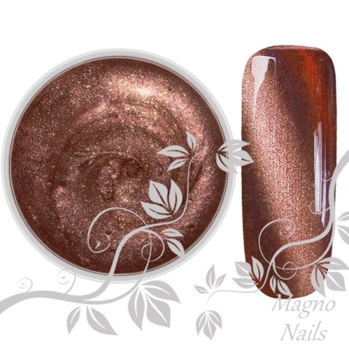 UV Gel - 029 - Cat Eye Gel Lovely Katzenauge Magnet Gel Nageldesign Nägel Nails Nagelstudio