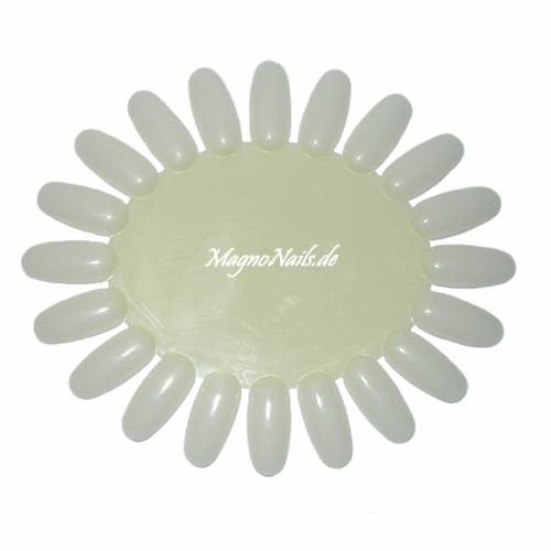 Demonstrationsscheibe natur Präsentation Farben Nagelstudio Zubehör