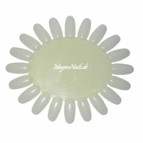 Demonstrationsscheibe natur Präsentation Farben Nagelstudio Zubehör
