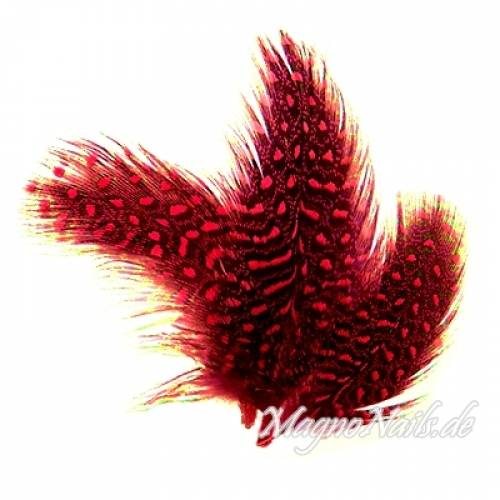 Nail Art Feder rot Nägel Nail art Nailart Nageldesign Nagel