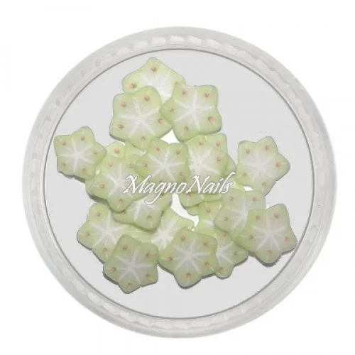 Einlegemotive - Fimo Früchte - Sternfrucht Nails Nagel Nögel Nailart