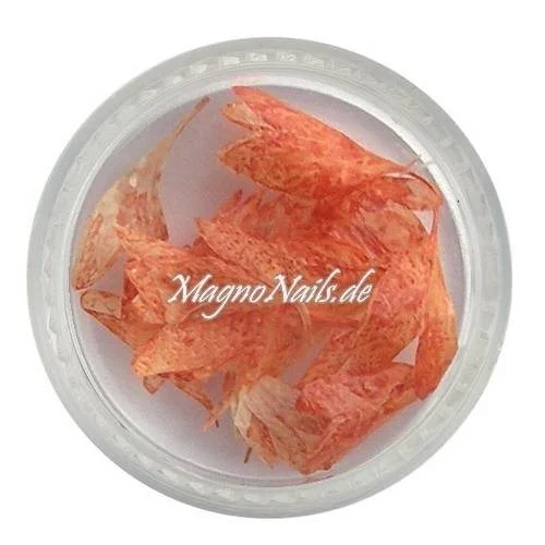 TB1 - Einlegemotive - Echte Trocken Blumen - rot Nails Nailart Nögel