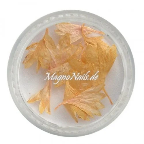 TB1 - Einlegemotive - Echte Trocken Blumen - gelb Nails Nailart Nögel