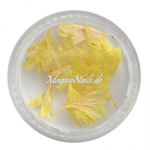 TB1 - Einlegemotive - Echte Trocken Blumen - zitronengelb Nails Nailart Nögel