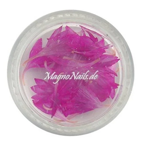 TB1 - Einlegemotive - Echte Trocken Blumen - pink Nails Nailart Nögel