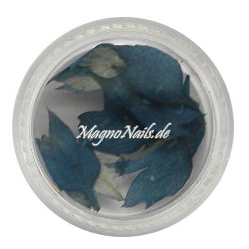 TB2 - Einlegemotive - Echte Trocken Blumen - dunkelblau Nails Nailart Nögel