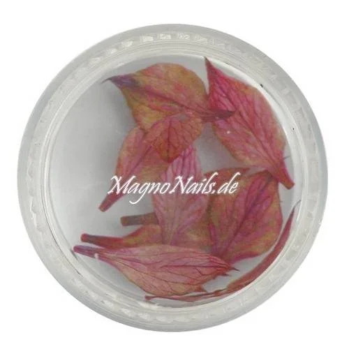 TB2 - Einlegemotive - Echte Trocken Blumen - altrosa Nails Nailart Nögel