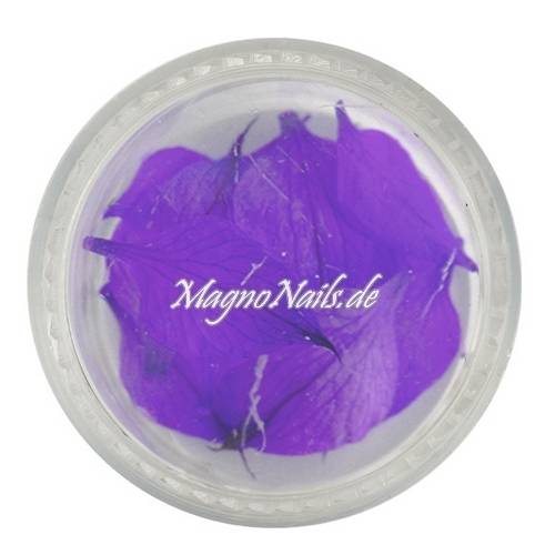 TB2 - Einlegemotive - Echte Trocken Blumen - lila Nails Nailart Nögel