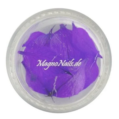 TB2 - Einlegemotive - Echte Trocken Blumen - lila Nails Nailart Nögel