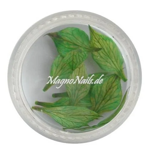 TB2 - Einlegemotive -Echte Trocken Blumen - grün Nails Nailart Nögel