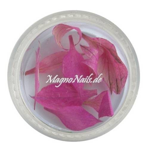 TB2 - Einlegemotive - Echte Trocken Blumen - pink Nails Nailart Nögel