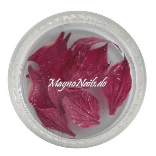 TB2 - Einlegemotive - Echte Trocken Blumen - weinrot Nails Nailart Nögel