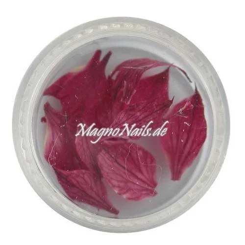 TB2 - Einlegemotive - Echte Trocken Blumen - weinrot Nails Nailart Nögel