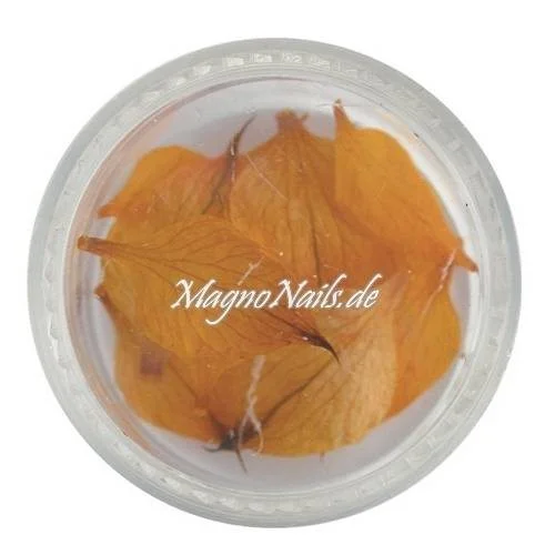 TB2 - Einlegemotive - Echte Trocken Blumen - orange Nails Nailart Nögel