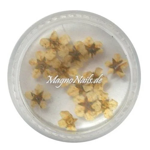 TB3 - Einlegemotive - Echte Trocken Blumen - weiß Nails Nailart Nögel