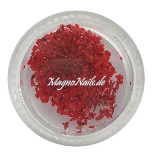 TB4 - Einlegemotive - Echte Trocken Blumen - rot Nails Nailart Nögel