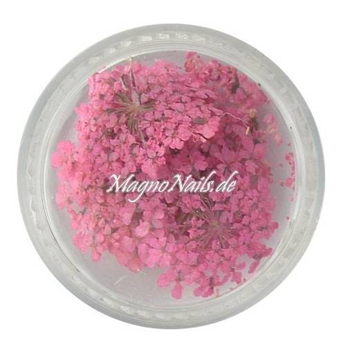 TB4 - Einlegemotive - Echte Trocken Blumen - rosa Nails Nailart Nögel
