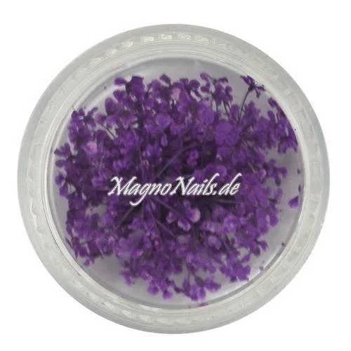 TB4 - Einlegemotive - Echte Trocken Blumen - lila Nails Nailart Nögel