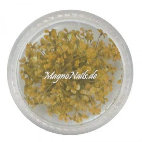 TB4 - Einlegemotive - Echte Trocken Blumen - sonnengelb Nageldesign Nägel Nails Nagelstudio Einleger Nailart getrocknet