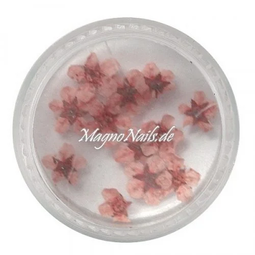 TB3 - Einlegemotive - Echte Trocken Blumen - rosa Nails Nailart Nögel