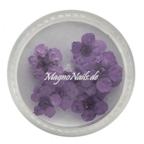 TB3 - Einlegemotive - Echte Trocken Blumen - violett Nails Nailart Nögel