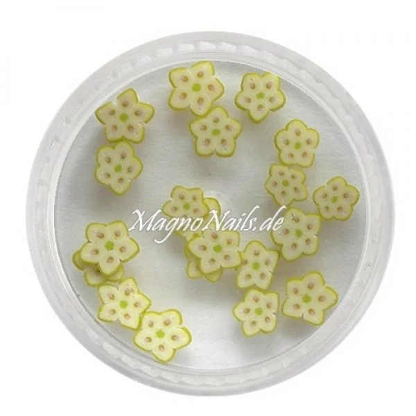 Einlegemotive - Fimo Früchte - Sternfrucht Nails Nagel Nögel Nailart