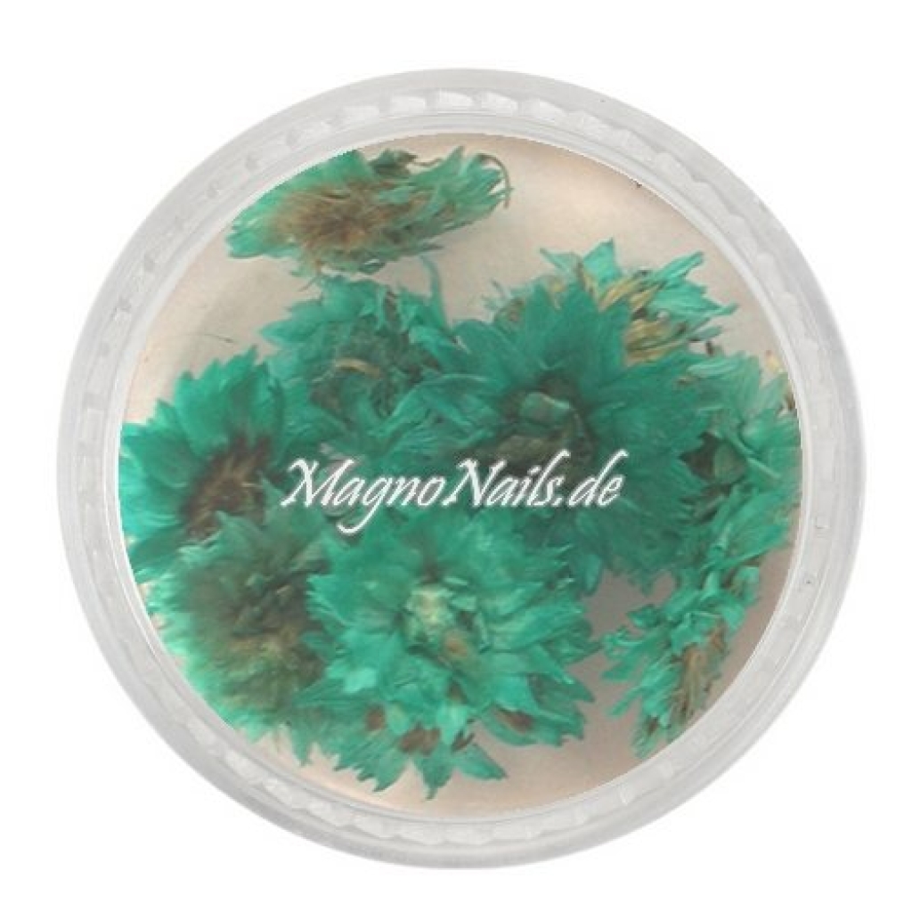 TB5 - Einlegemotive - Echte Trocken Blumen - grün Nails Nailart Nögel