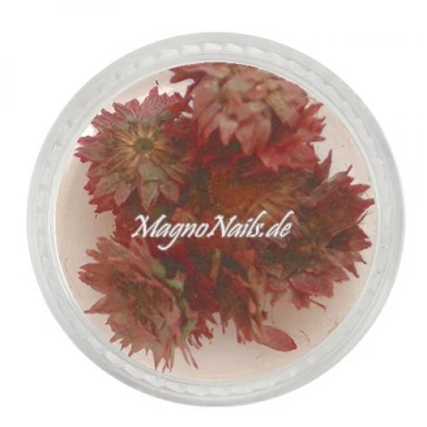 TB5 - Einlegemotive - Echte Trocken Blumen - aubergine Nails Nailart Nögel