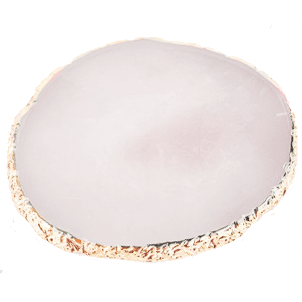 Resin Nail Art Präsentationsdisplay - weiß