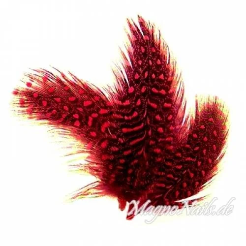 Nail Art Feder rot Nägel Nail art Nailart Nageldesign Nagel