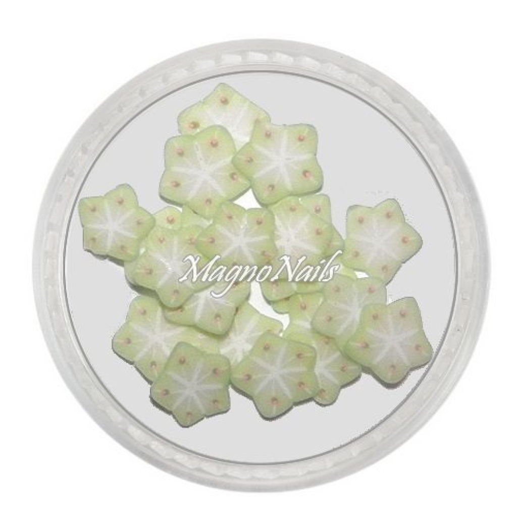 Einlegemotive - Fimo Früchte - Sternfrucht Nails Nagel Nögel Nailart