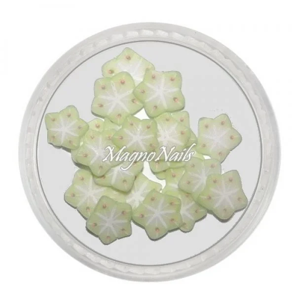 Einlegemotive - Fimo Früchte - Sternfrucht Nails Nagel Nögel Nailart