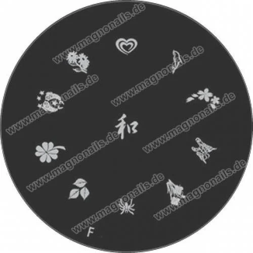 Nail Art Stamping Schablone F Chinesische Zeichen Schmetterlinge