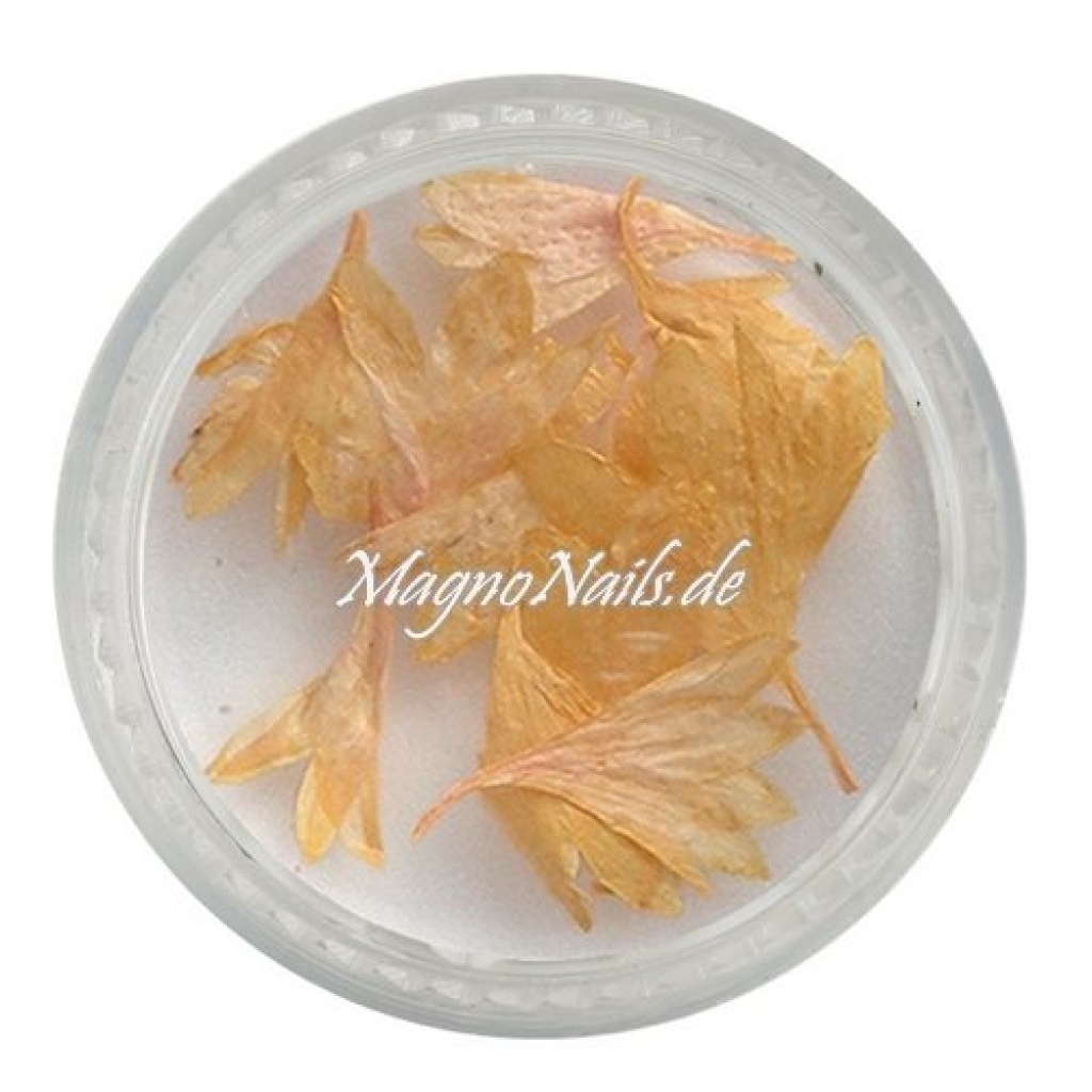 TB1 - Einlegemotive - Echte Trocken Blumen - gelb Nails Nailart Nögel