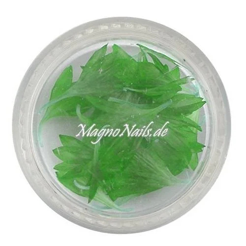 TB1 - Einlegemotive - Echte Trocken Blumen - grün Nails Nailart Nögel
