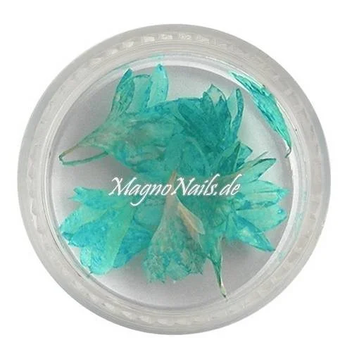 TB1 - Einlegemotive -Echte Trocken Blumen - türkis Nails Nailart Nögel