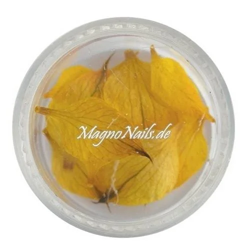 TB2 - Einlegemotive - Echte Trocken Blumen - gelb Nails Nailart Nögel